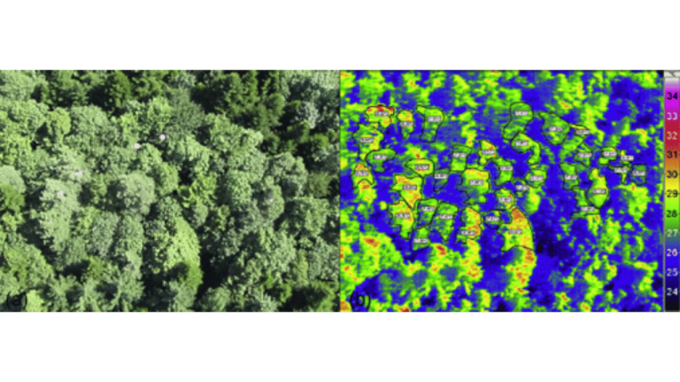 thermal imaging overview